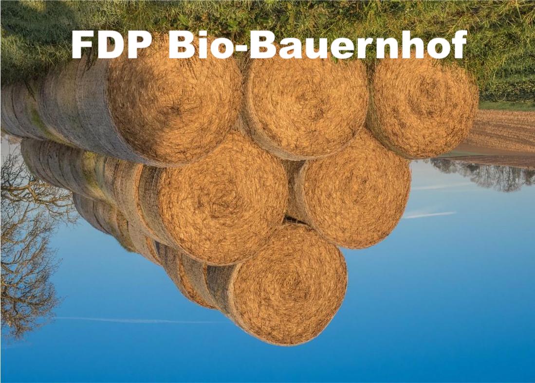 Bild 16